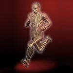 Sistema osteoarticular