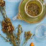 Fitoterapia para la dispepsia funcional